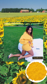 SUNFLOWER 🌻 YELLOW VALENCIA